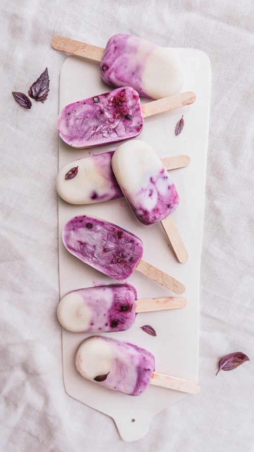 glace au yaourt fruit rouge vegan sans gluten facile