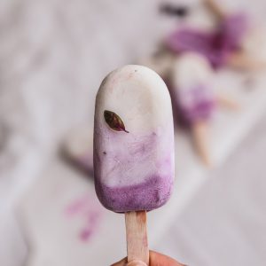 glace au yaourt vegan et fruits rouges